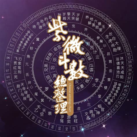 紫微 華蓋|紫微流年十二星